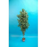 Lorbeer Kunstbaum alt 180cm